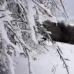 Au Pied Des Pistes A Hohneck La Bresse