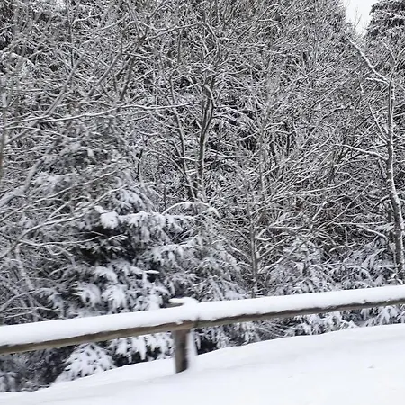 Apartman Au Pied Des Pistes A Hohneck *