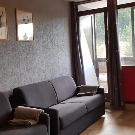 Apartman Au Pied Des Pistes A Hohneck La Bresse