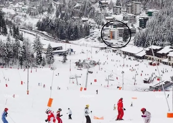 Au Pied Des Pistes A Hohneck Apartmán