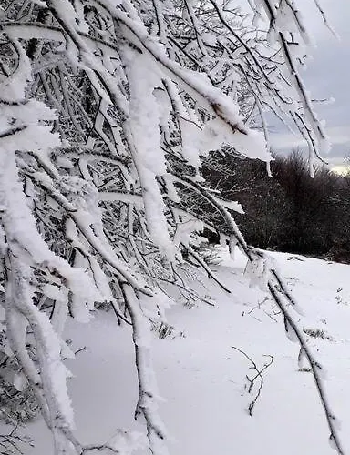 Au Pied Des Pistes A Hohneck La Bresse