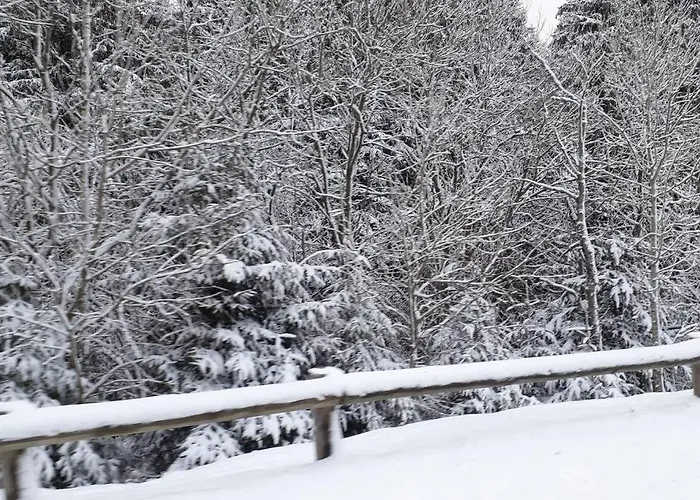 Apartmán Au Pied Des Pistes A Hohneck *