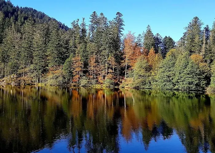 Apartmán Au Pied Des Pistes A Hohneck