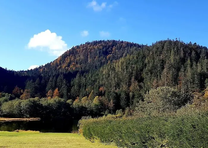 Apartmán Au Pied Des Pistes A Hohneck *
