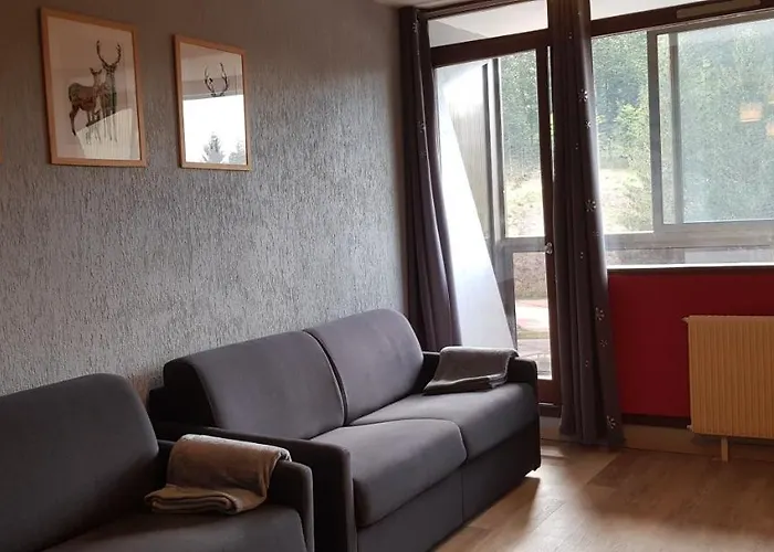 Apartment Au Pied Des Pistes A Hohneck La Bresse