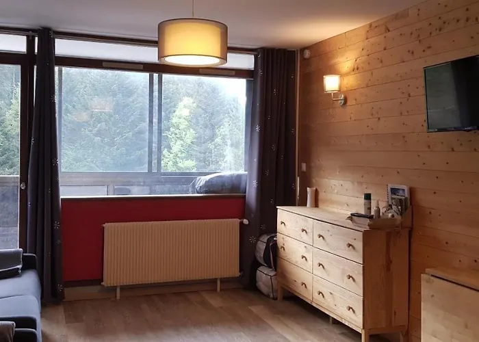 Au Pied Des Pistes A Hohneck * La Bresse